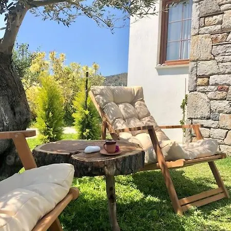 Begonvilla Villa