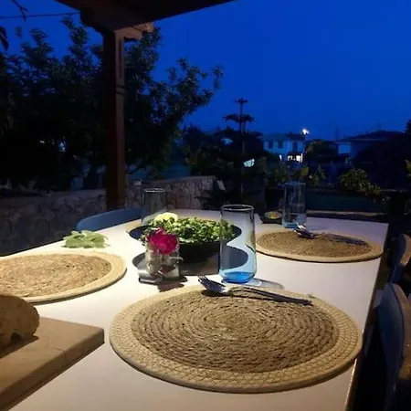 Begonvilla * 닷차