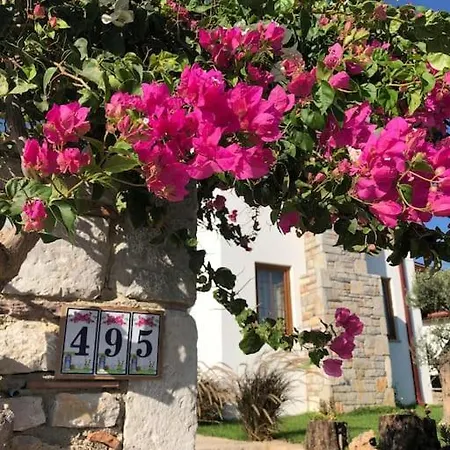 Begonvilla Datça