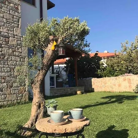 Begonvilla Villa Datca