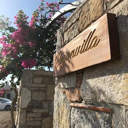 Begonvilla Villa Datca