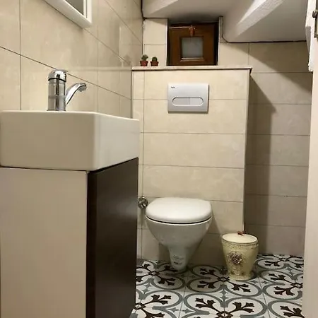 Begonvilla *